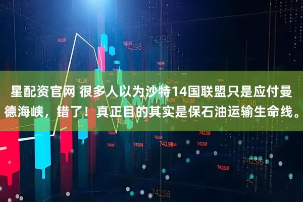 星配资官网 很多人以为沙特14国联盟只是应付曼德海峡，错了！真正目的其实是保石油运输生命线。