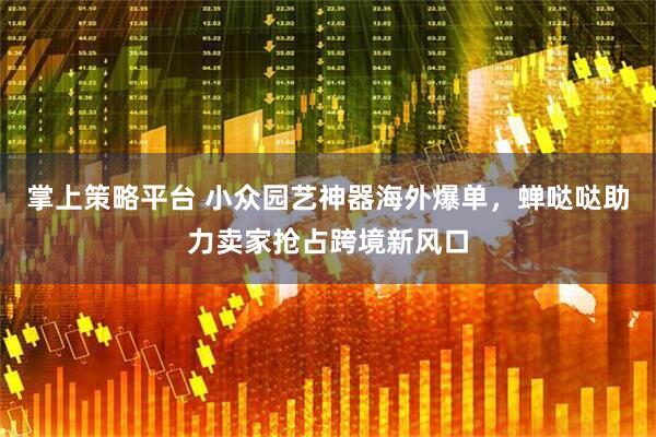 掌上策略平台 小众园艺神器海外爆单，蝉哒哒助力卖家抢占跨境新风口